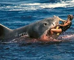 海水浴に来ていた18歳の女の子がサメに！海面が血に染まる怖すぎる海の悲劇