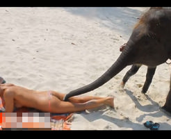 【エロ動画】美女の股間に鼻を突っ込もうする象さんがただの変態にしか見えない・・・