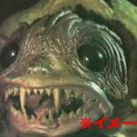 亀さんツンツン男「ツンツンツンツーンｗｗ」噛まれると指が飛ぶぐらい破壊力のあるカミツキガメの大反撃はこの後すぐ