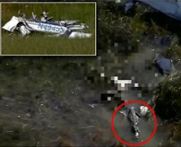 飛行機が沼地に墜落、機体から振り落とされたパイロット、ワニのエサになる