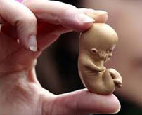 国内で年間18万件、中絶で赤ちゃん引っ張り出しながらバラバラにする内部カメラ映像