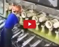 ﾎﾞｷﾎﾞｷﾎﾞｷ 製糸工場で機械に巻き込まれ骨折しながら回転する作業員 カルロ グローチェ