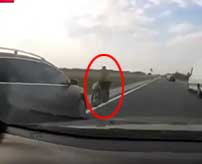 高速道路で正面衝突！バイクに乗っていた男性が吹っ飛んで即死…