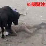 闘牛祭り中に乱入してきた全裸の変態男が暴れ牛にボッコボコにされる…