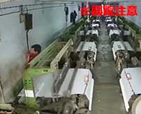 インドの繊維工場で突然死してしまう作業員…
