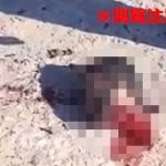 【閲覧注意】イラク軍兵士、ISISメンバーを斬首…