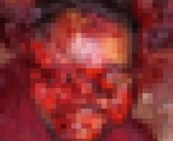JOJgoCMosXpGcWx1745999678_1745999687