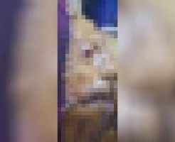 0ax7wDK9DSAwgD81746344213_1746344236