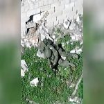 避けようと思っても避けきれない…手榴弾による攻撃がロシア兵を襲う
