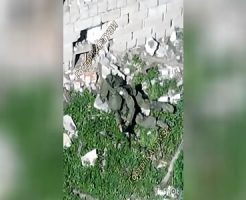 1569254681c13d062af2.mp4-2