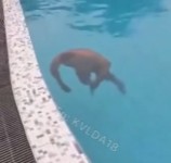 185979868143de5a0849.mp4-9