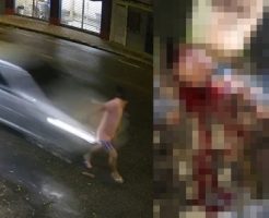 1c1z50oHg1pWTVT1747725664_1747725696