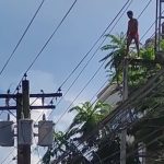 自殺願望がある男、電線に向かってダイブ→ド派手に逝く