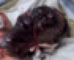vkGl4HVW24OjRWV1746343044_1746343056