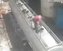 117048268419916a9a59.mp4-3