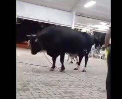 1341505685985393d088.mp4-3