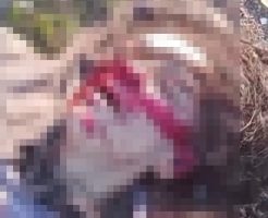 2N6YLJalmYILq9Z1751094632_1751094651