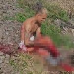 大人しく捕まっておけば…逃げる泥棒、足を切断される
