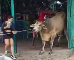 85886685d9cf127c28.mp4-9