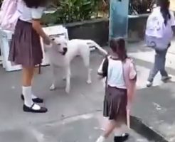 8588668617a9617972.mp4-9