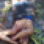 行方不明になっていた女さん、沼地で死体となって発見される