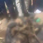 未成年の少年に性的暴行をした牧師、生きたまま焼き殺される