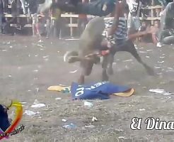 134150568723c99595e0.mp4-3