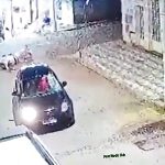 車がぶつかったもの、真正面から衝突した馬が吹き飛ぶ