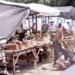 2144354688203df172d9.mp4-3