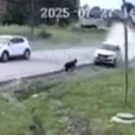 飲酒運転のクソ運転手、自転車に乗った少年を車で轢き殺す