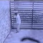 鉄のスライドゲートを閉める警備員、ゲートの下敷きとなって死亡