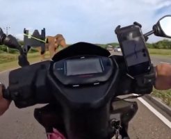 gSXHIDlB2vdw_hq