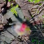 死ぬより辛い時間…上空からの爆撃によってロシア兵の臀部を破壊