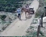 134150568a1fd808852d.mp4-3