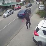 右見て左見ず…道路を堂々と横断しようとしたまんさん、車にはねられる