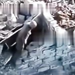 15692546894c8ad6f811.mp4-3