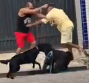 同じ時間、同じ場所で喧嘩が2つ…犬と飼い主同士で喧嘩が始まる