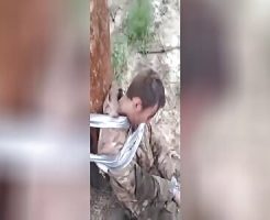 19285166887c5865d85c.mp4-3