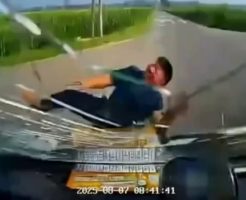 21776856898d34c1bba8.mp4-9