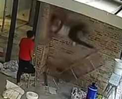 2177685689c550915938.mp4-9