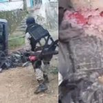 待ち伏せされたカルテルのトラック、敵対組織のシカリオに襲撃される