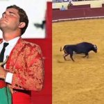 若い闘牛士が初公演で雄牛の猛突進をまともに受けて死亡