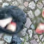 黒いビニール袋の中には…バラバラになった女の死体が詰め込まれていた