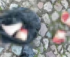 SKsHfPaVv80FV0p1755331224_1755331250