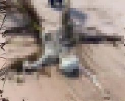 iUN6n5xlS52cYQw1755931494_1755931516
