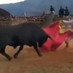 雄牛の強力な突進によって内臓を引き裂かれて殺される闘牛士
