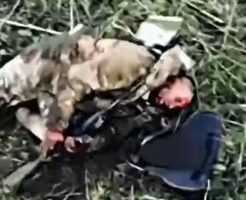 156925468b4f7a6a4bc7.mp4-3
