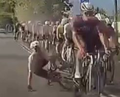 214435468bda89bbbc8b.mp4-3