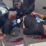 泥棒なんてしなきゃよかった…逃げる泥棒、車に轢かれる