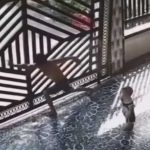 門を閉めようとした結果、門が倒れてきて男と子供が下敷きに…
